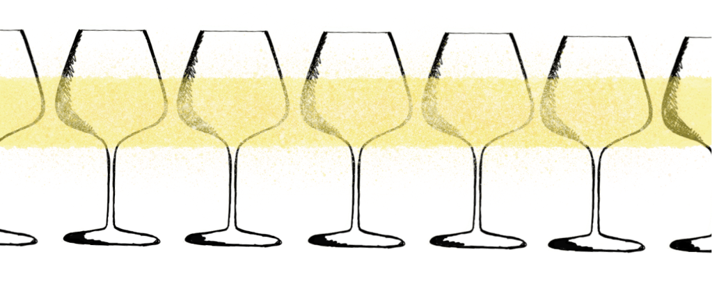 Sparkling wine, cava, champagne, prosecco, blanc de blanc