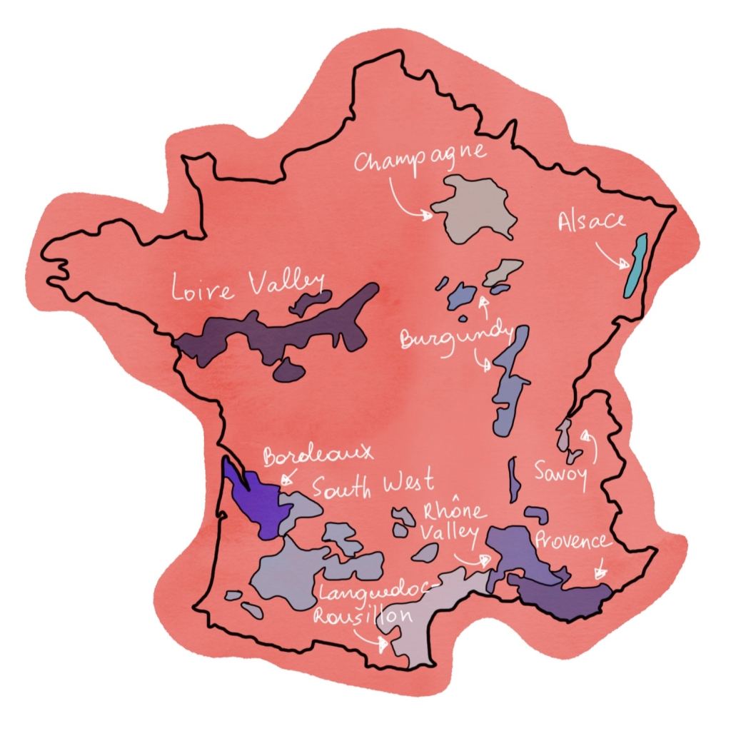 France, wine, French wine, vin, burgundy, Pinot Noir, Beaujolais, Alsace, loire, rhone, Provence